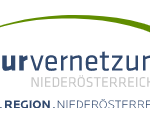 Tage der Offenen Ateliers