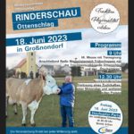 Heuhupfer - Party in Großnondorf