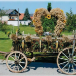 Ernteumzug